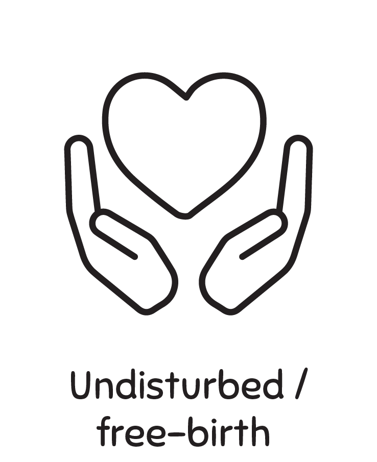 Undisturbed / Free-birth