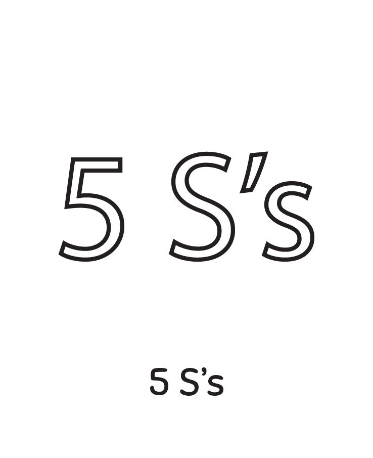 5 S's