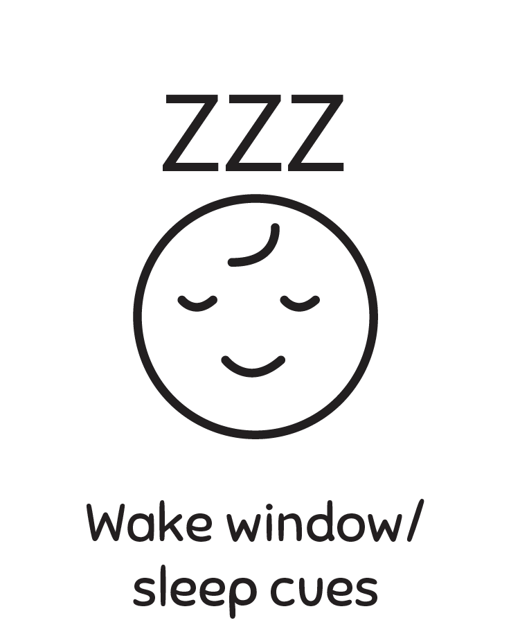 Wake Window/sleep Cues